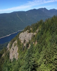 View from Grouse Mountain Gondola