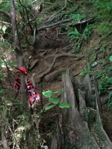 danger, lone cone, trail marker, up