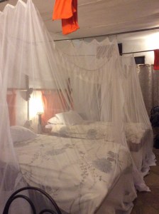 Princess bed! I want misquote nets at home so I can be a princess all the time. 