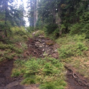 St. Mark's Summit Trail