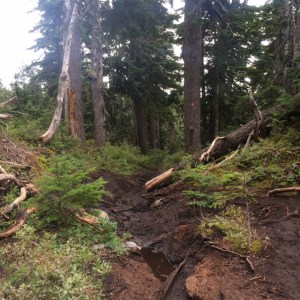 St. Mark's Summit Trail