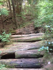 Sandero Diez Vistas Trail, Coquitlam British Columbia