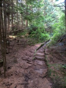 Wood path on Sandero Diez Vistas Trail, Coquitlam British Columbia