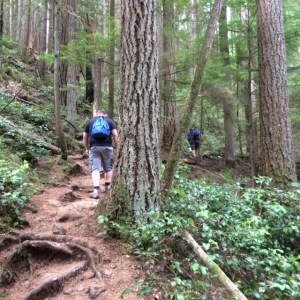 Heading up on Sandero Diez Vistas Trail, Coquitlam British Columbia