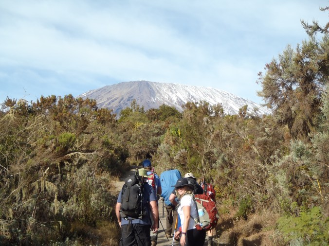 Rongai Route, Mount Kilimanjaro
