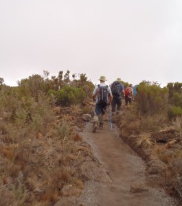 Rongai Route, Mount Kilimanjaro