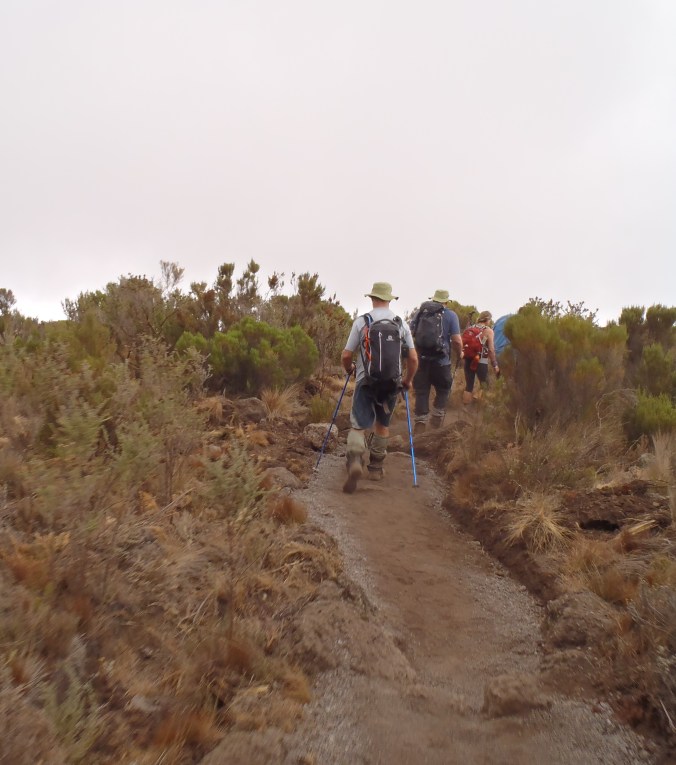 Rongai Route, Mount Kilimanjaro