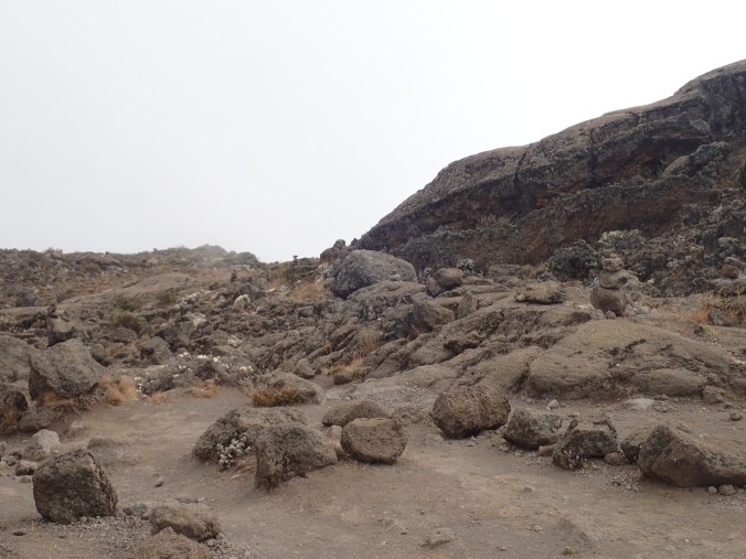 Mount Kilimanjaro, Rongai Route
