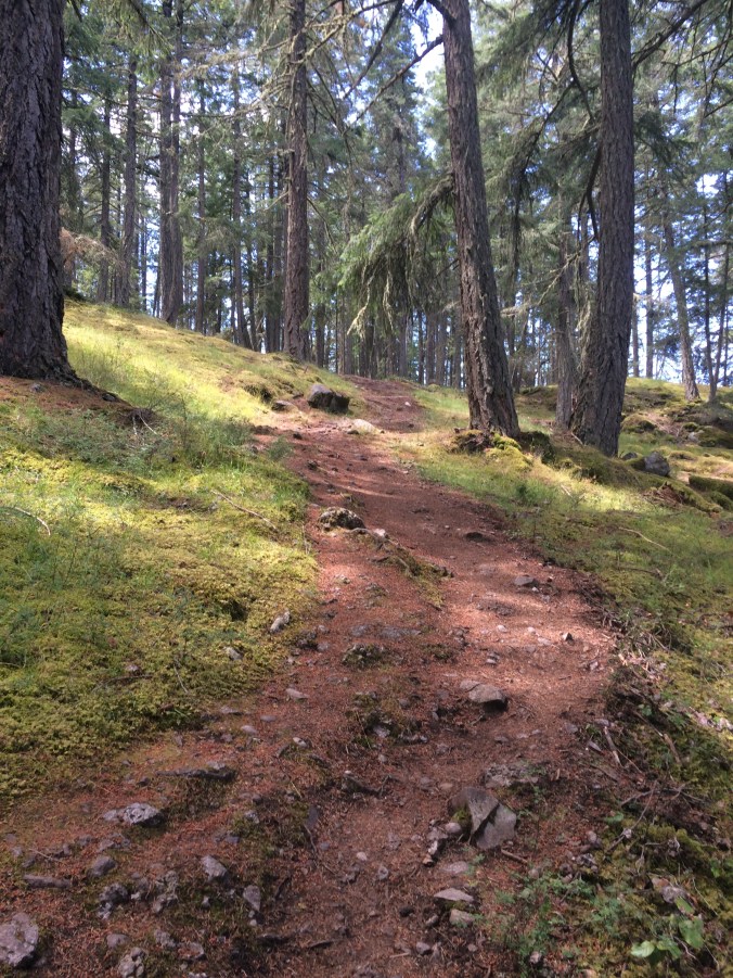 Ruckle Provincial Park 