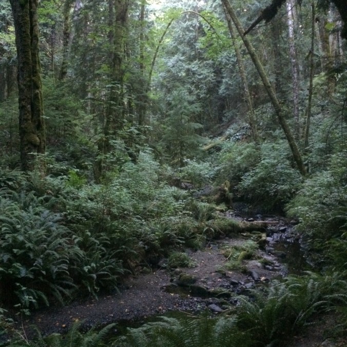 Peter Arnell Trail, Salt Spring Island 