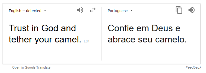 Trust in God and tether your camel.