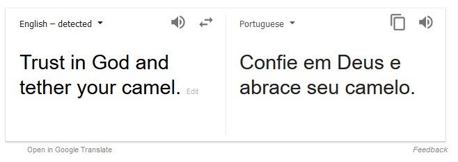 Trust in God and tether your camel.