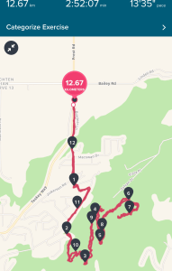 FitBitMap_MntThomMay2017