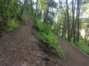 MountThom_Chilliwack