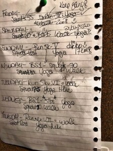 guestshar_training_plan_may2018