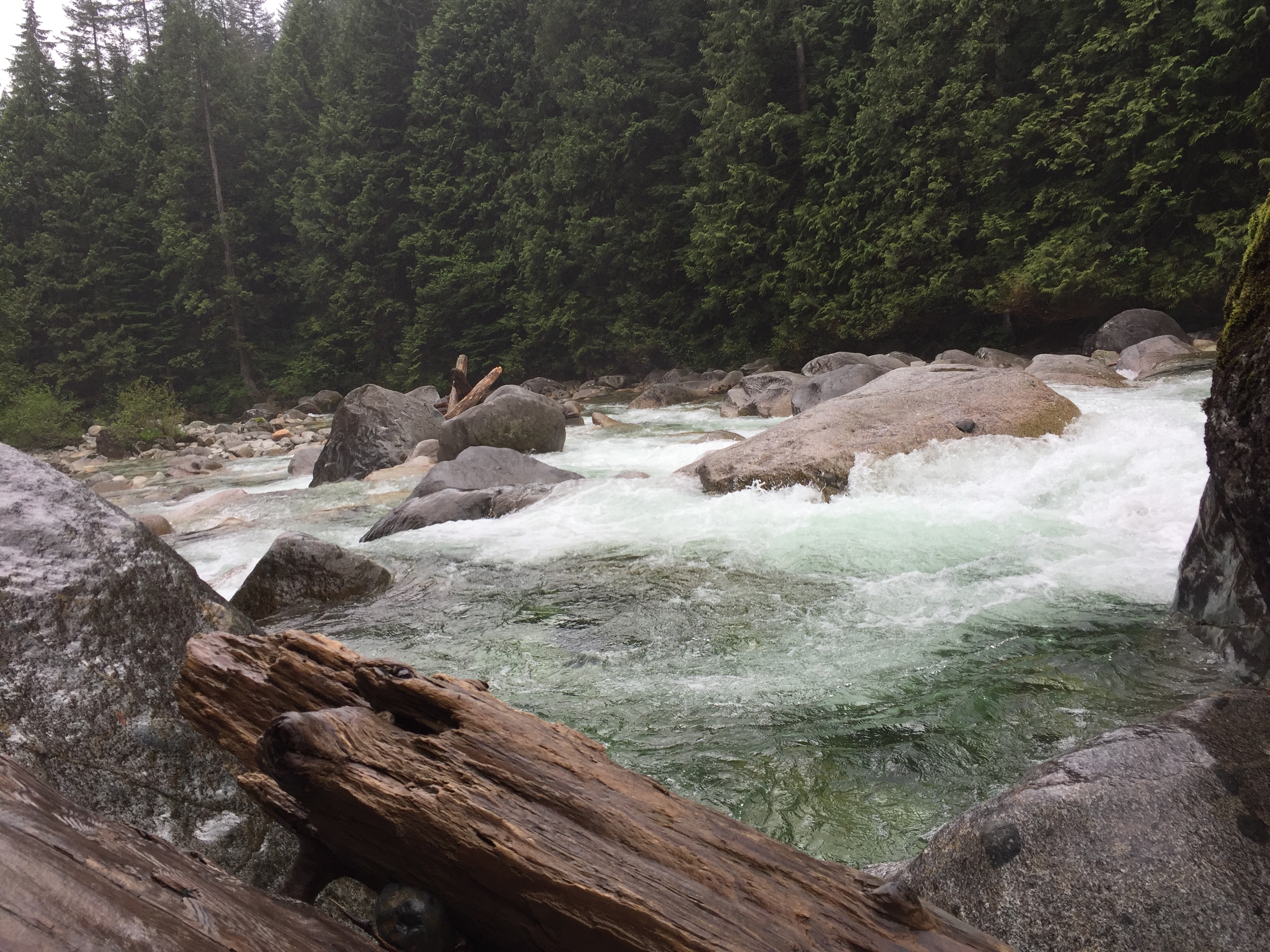 river2_may202018_goldenear_lowerfalls