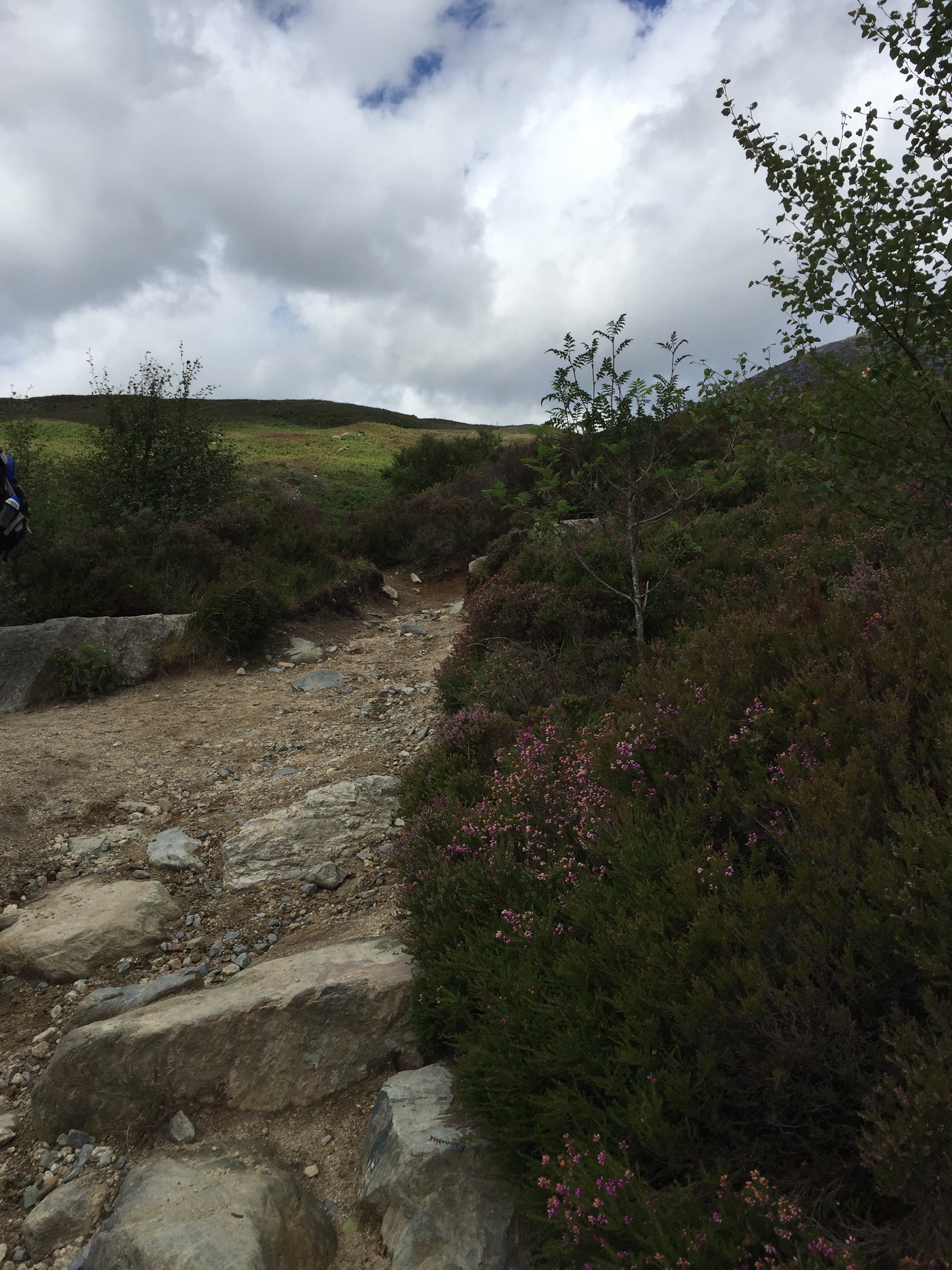 18B5E453-475D-482B-AD12-05E456DDABF0