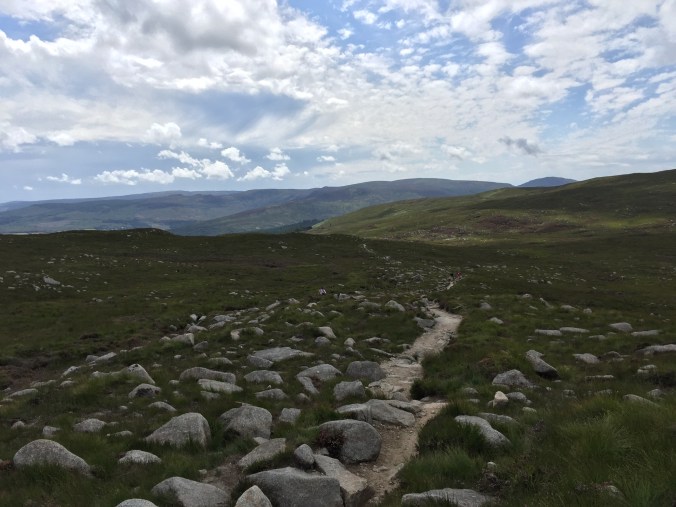 65D5684A-2704-45EF-866F-8E25E700DB38