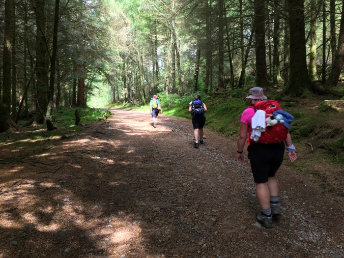 E0A886D9-6277-4AA4-A692-10D29BEC71A4