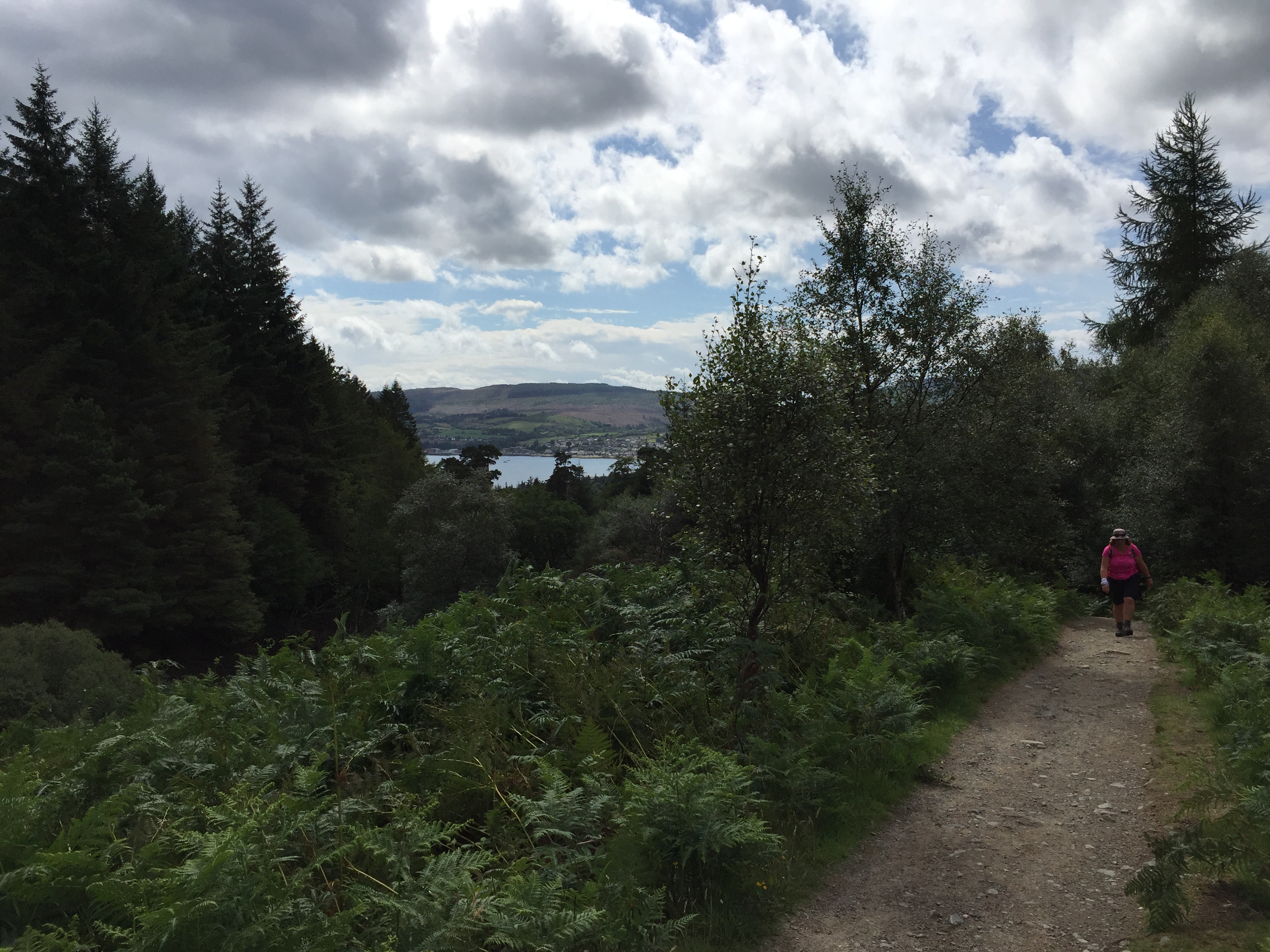 E9DB4AD1-FDD3-41EA-BE8B-2210947A7976